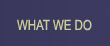 WHAT WE DO